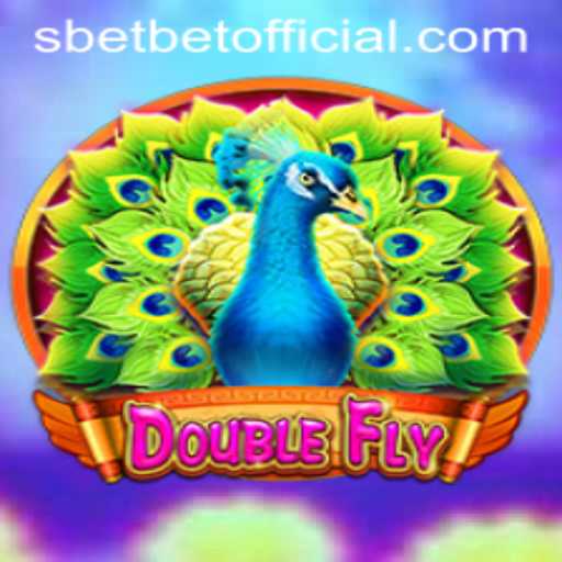 Exploring DoubleFly and the Role of SBET Official